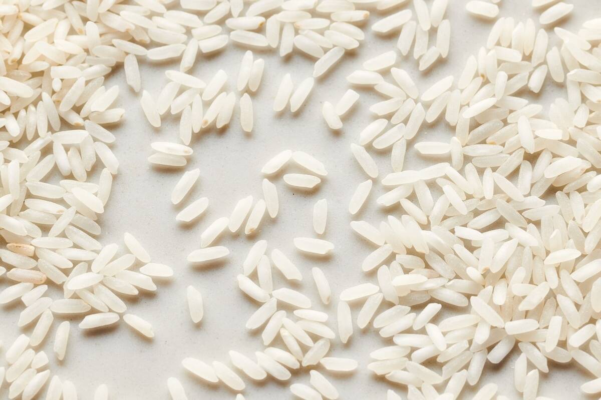 راهنمای انتخاب برنج پاکستانی ارزان و باکیفیت