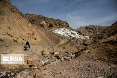 زنان نمکی