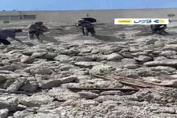 فیلم آخرین وضعیت سکوهای استادیوم آزادی