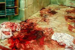 جزئیات دستگیری نفر دوم حمله تروریستی به حرم شاهچراغ + ویدئو | فیلم هولناک از تروریست حرم شاهچراغ در لحظه تیراندازی