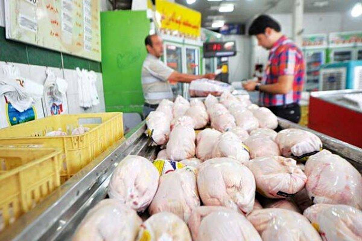 قیمت مرغ امروز 21 مرداد 1402 در بازار | کاهش شوکه کننده قیمت مرغ؛ لحظاتی قبل در تره بار و بازار