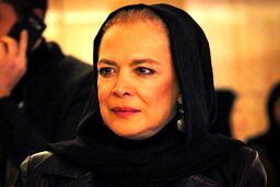 (تصاویر) سنگ تصویر مزار مرحوم بیتا فرهی غیب شد