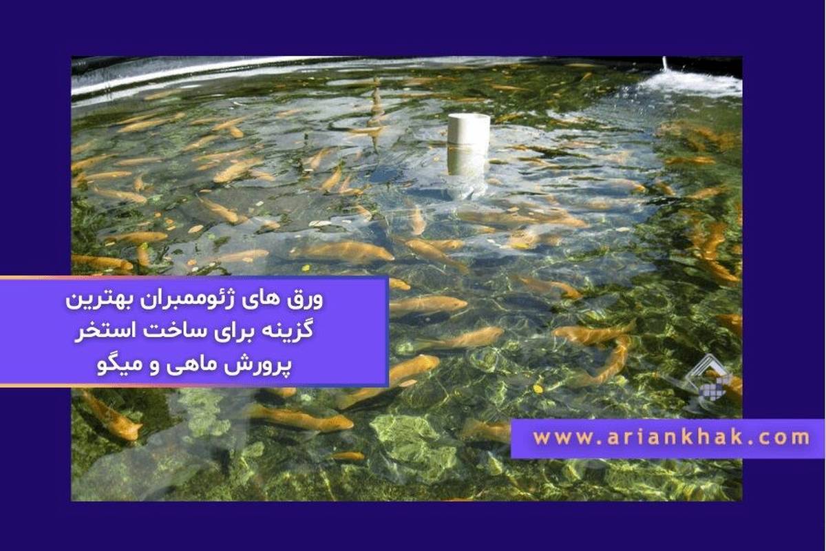 ورق های ژئوممبران بهترین گزینه برای ساخت استخر پرورش ماهی و میگو