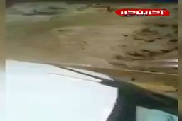 ریزش وحشتناک سنگ‌های غول پیکر در محور هراز|جاده بسته شد