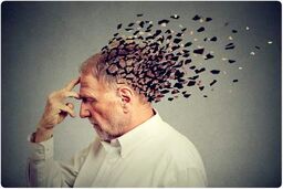 توجه! رابطه ترسناک دیابت نوع ۲ و بیماری آلزایمر را حتما بخوانید