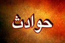وحشتناک ترین آتش سوزی خودرو؛206 تبدیل به کوره شد