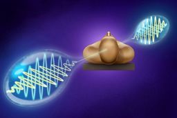 فرکانس های متارزونانس به کمک امواج فرکانس زیستی و فرکانس اسکالر میتواند با کد اطلاعاتی دی ان ای هر شخص برای بهبود عملکرد متافیزیکی و انرژیکی حافظه بدن جهت توسعه فردی استفاده گردد.