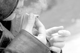 گل زیر نیمکت مدارس | آبروی مدرسه معروف رفت