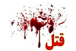 ماجرای وحشتناک قتل خنجر کش های خیابانی|عکس بدن شیطانی قاتل