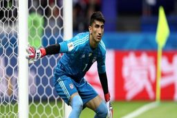 بیرانوند بهترین آسیایی تاریخ جام‌های جهانی

