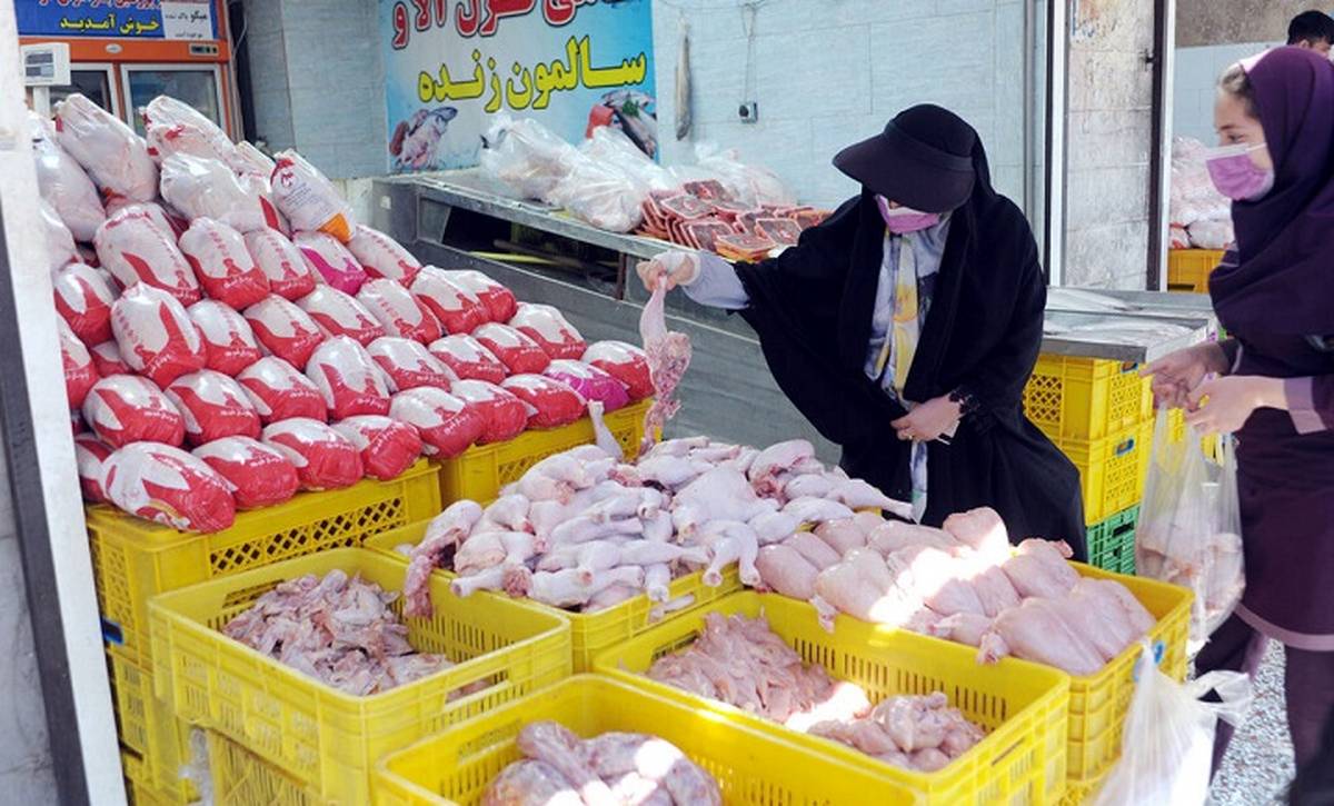 افزایش نجومی قیمت مرغ در بازار | مرغ در تربار امروز 27 فروردین 1402 کیلویی چند؟