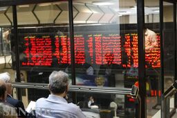 گربه‌نره‌ها‌ و روبا‌هان مکار در کمین سهامداران جدید؛پینوکیو نشوید