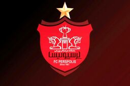 پشت پرده استعفای مدیرعامل پرسپولیس| جزئیات