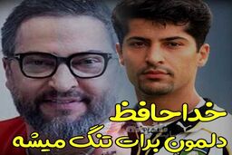اولین عکس تلخ از آرامگاه ابدی مهرداد میناوند