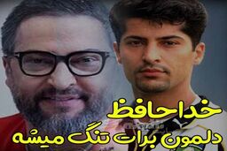 اولین عکس تلخ از آرامگاه ابدی مهرداد میناوند