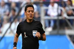 فغانی ممنوع التصویر است؟

