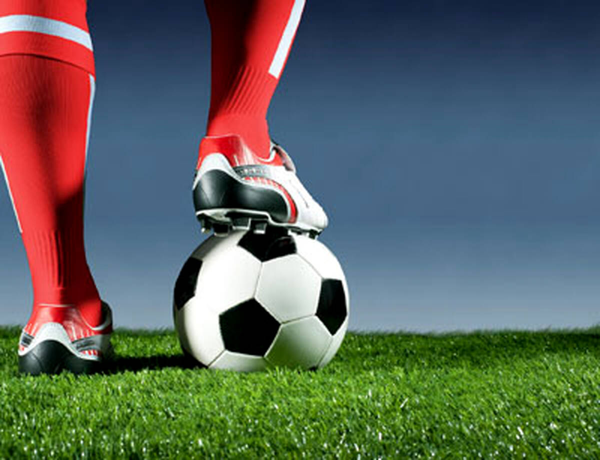 بهترین مربیان لیگ نوزدهم +جدول