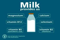 فواید و عوارض خوردن شیر چیست ؟ بهترین زمان و میزان خوردن شیر
