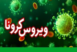 کرونا به فوتسال هم رسید + جزئیات

