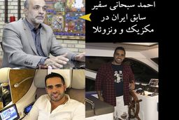 آقازاده‌های خلافکار و خرابکار را بیشتر بشناسید / از ساشا سبحانی تا پسر آیت الله حسنی + فیلم

