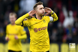 نیش زهردار زنبورها