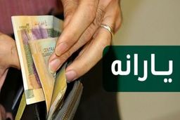 فوری: یارانه نقدی جدید واریز می شود| این افراد مشمول یارانه جدید می شوند