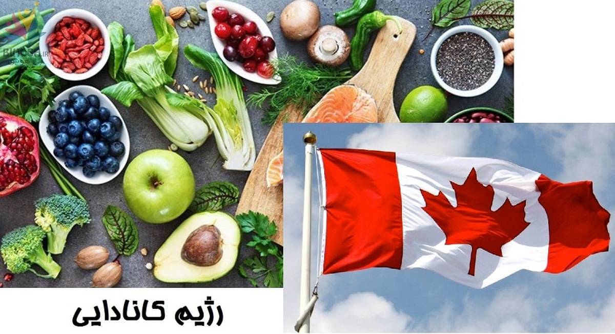 رژیم کانادایی چیست | رژیم کانادایی 15 روزه + 10 کیلیو لاغری در دوهفته