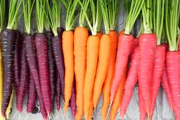 خبر جنجالی از قیمت هویج هم صف با مرغ شده است +جزئیات 
