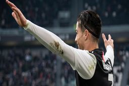 دیوانه کننده ترین گل های حیرت انگیز 2020