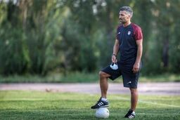 هاشمی نسب،استقلال منتفی شد؟