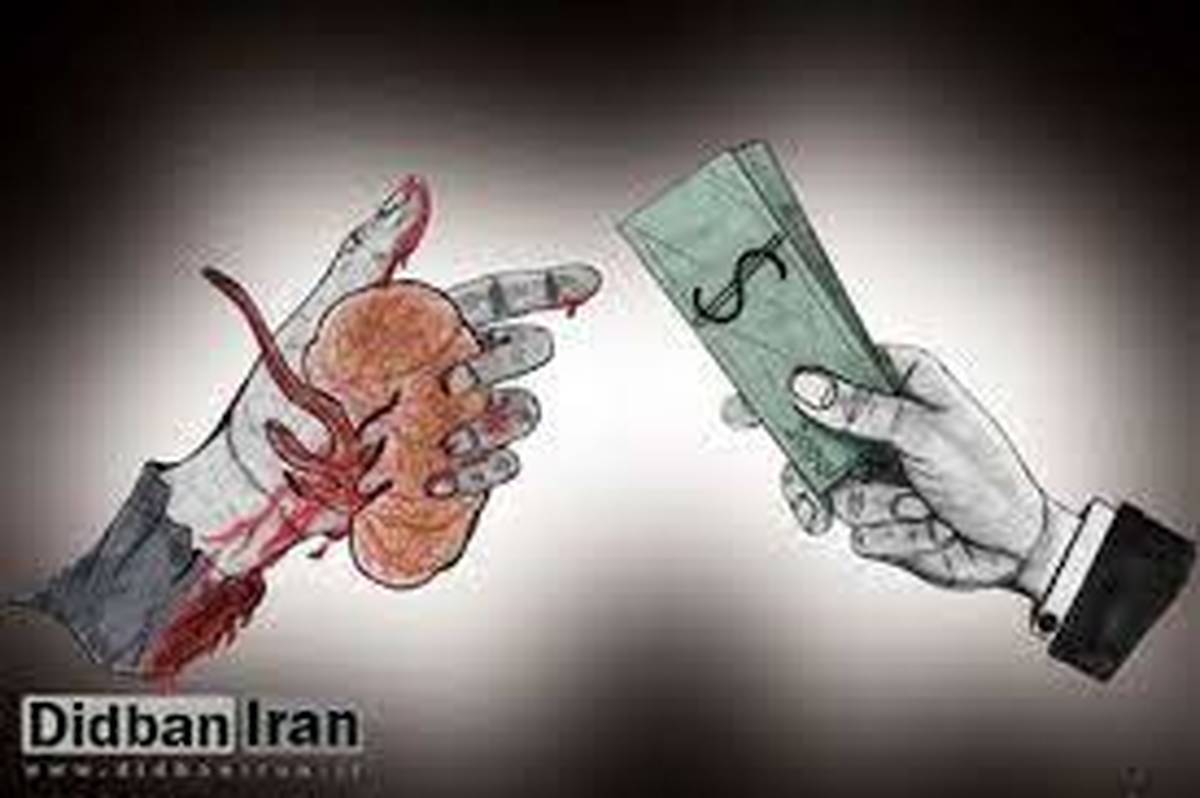 کلیه فروشی هموطنان به دلار؛فاجعه تلخ سفر ایرانی ها به عراق برای فروش اعضای بدن