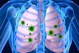 ریه های خود را با سه‌روش طبیعی پاک و قوی کنید