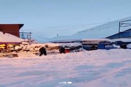 (ویدئو) برف سنگین و زمین گیر شدن خودروها در جاده چالوس 