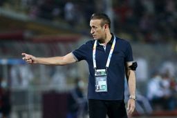 پشت پرده دلگیری گل‌محمدی از کادر فنی تیم ملی