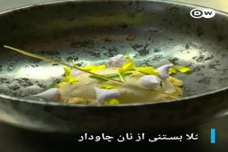 بستنی خرچنگ یا مارماهی میل دارید|فیلم