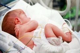 فوری|تا 60 میلیون تومان پول نقد و 200 متر زمین بگیرید|فرزند بیشتر زندگی بهتر