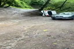 (ویدئو) لحظه عجیب چپ کردن پژو ۲۰۶ در دل جنگل