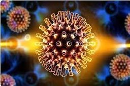 ویژگی های کرونای هندی را بشناسید