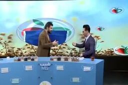 سیلی جنجالی مجری به صورت مهمان برنامه زنده+فیلم دیدنی 