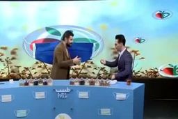 سیلی جنجالی مجری به صورت مهمان برنامه زنده+فیلم دیدنی 