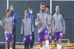 یک مهاجم و دو دروازه بان تیم ملی به ایران رسیدند