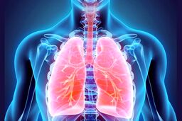 راهکارهایی برای تقویت ریه 