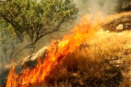 مهار آتش درقله دماوند/علت چه بود؟