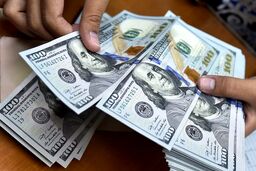 سقوط آزاد قیمت دلار  / پیش بینی: دلار به 20 هزارتومان می رسد؟