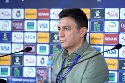 قلعه نویی:آنالیز ژاپن پیش از این ها آغاز شده بود