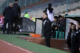 حمله تند نامجومطلق: یک عده لیاقت کلمه انسان را ندارند
