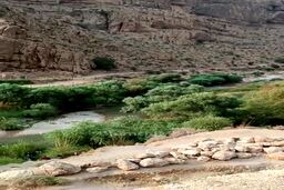 فیلم جدید از ورود سیل مرگبار استهبان|تلاش مردم برای نجات