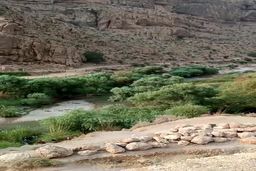 فیلم جدید از ورود سیل مرگبار استهبان|تلاش مردم برای نجات