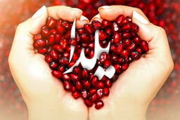شب یلدا و دستور آسان یک تارت انار و شکلات خوشمزه