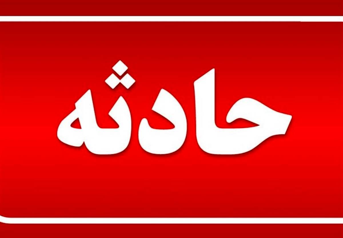 فیلم سقوط چنار عظیم در خیابان ولیعصر و له شدن ماشین‌ها